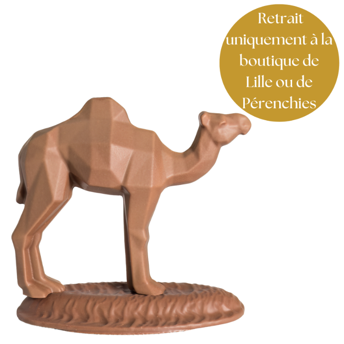 Dromadaire QB