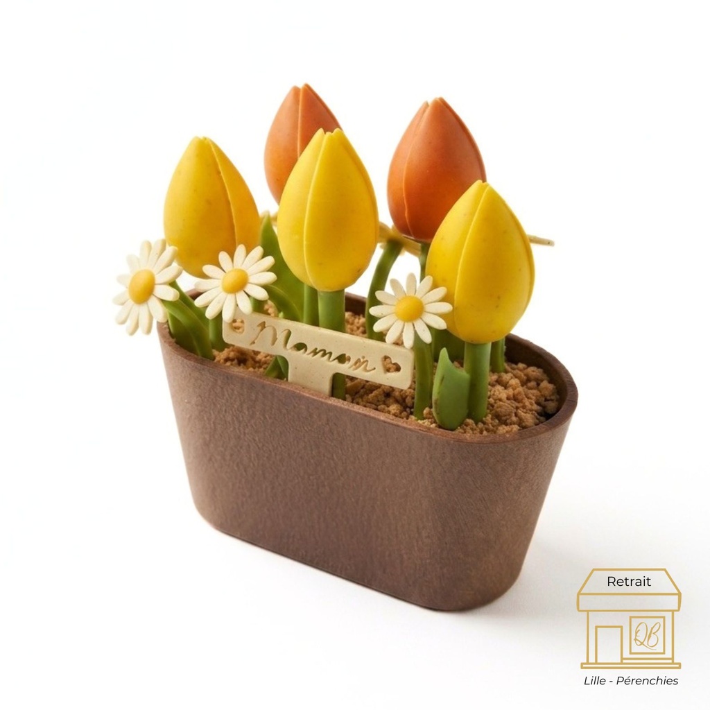 Pot de tulipes - fête des mères QB