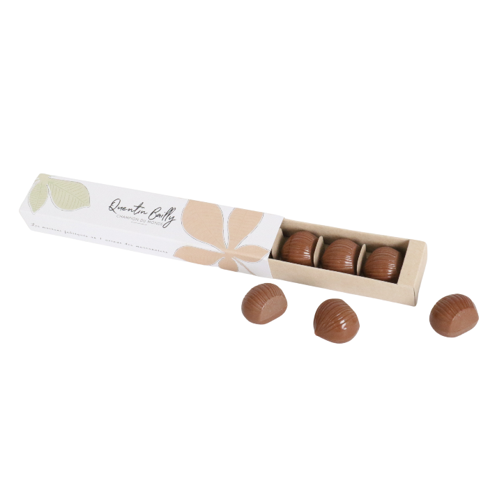 Marrons du 1 avenue des marronniers par 6 QB