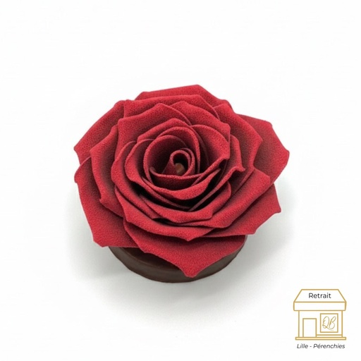 Rose St Valentin QB