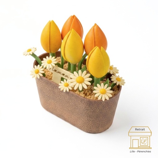 Pot de tulipes - fête des mères QB