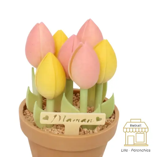 Pot de tulipes pour la fête des mères QB