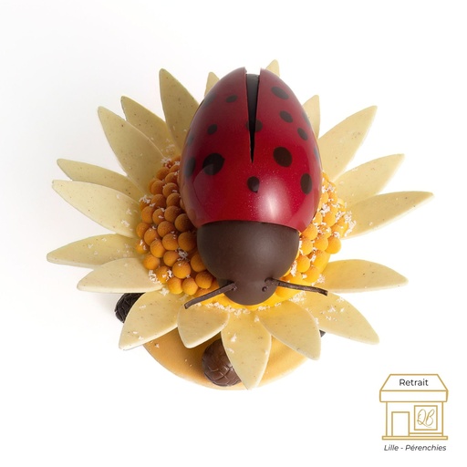 Coccinelle QB 