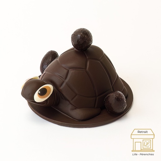 Tortue noir QB