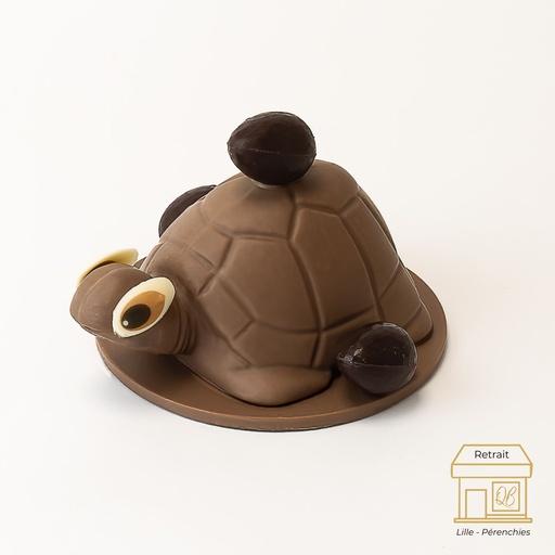Tortue lait QB